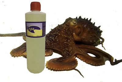 Nieuw Mega Grilled  Japanese Squid & Octopus, 500 ml